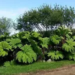 La Roche Du Marais فندق