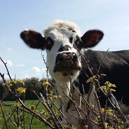 Otel La Roche Du Marais