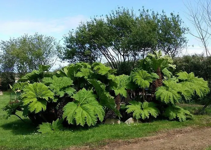 La Roche Du Marais Otel